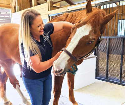 Link to: /programs/equine-chiropractic