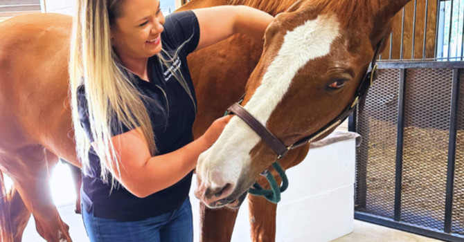 Equine Chiropractic and Wellness